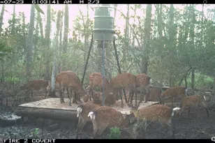 2257 Wingate Bishops Head Rd, Wingate, MD 21675 - Photo 1