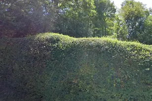 1412 W Johnson St, Staunton, VA 24401 - Photo 1