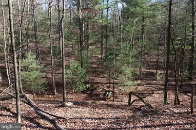 Rolly Road, Mount Jackson, VA 22842 - Photo 1