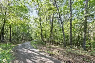 Mountain Laurel Dr, Mount Jackson, VA 22842 - Photo 1