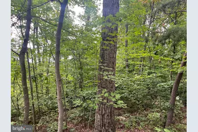 Lot 3 Tomahawk Ln, Edinburg, VA 22824 - Photo 1