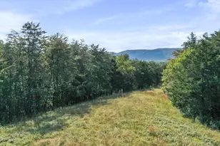 574 Mountain Slope Ln, Fort Valley, VA 22652 - Photo 1