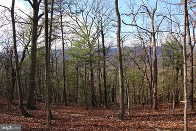 Supinlick Ridge Road, Mount Jackson, VA 22842 - Photo 1