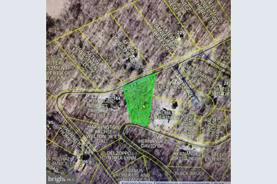 Lot 49 Dooley, Basye, VA 22810 - Photo 1