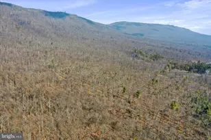 Tbd Rocky Top Ln, Woodstock, VA 22664 - Photo 1
