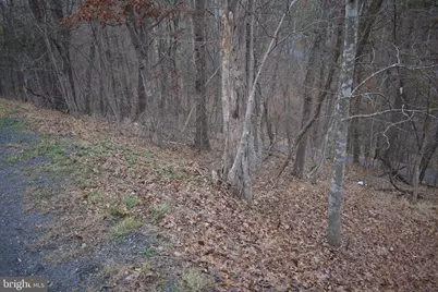 Anderson Road, Basye, VA 22810 - Photo 1