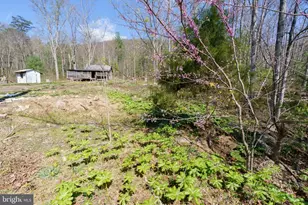3336 Wolf Gap Rd, Edinburg, VA 22824 - Photo 1
