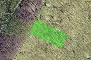 Lot 8 Supinlick Ridge S, Mount Jackson, VA 22842 - Photo 1