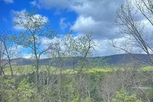 274 The Hill, Basye, VA 22810 - Photo 1