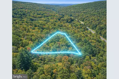 Lot 169 Forest Ridge Trail, Fort Valley, VA 22652 - Photo 1