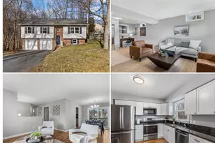 1703 Sherwood Dr, Fredericksburg, VA 22405 - Photo 1