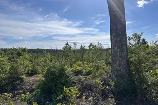 0 Mt Holly Rd, Montross, VA 22520 - Photo 1