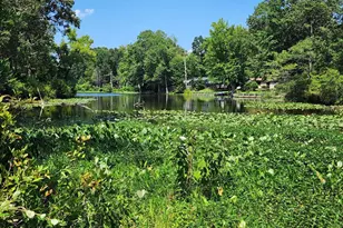 Lot 17 Chrystal, Colonial Beach, VA 22443 - Photo 1