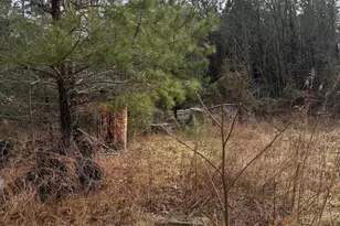 Long Point Rd, Hague, VA 22469 - Photo 1