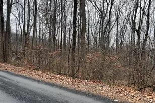 L12 Apple Mountain Lake S, Linden, VA 22642 - Photo 1