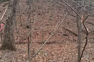 Vesey Dr, Front Royal, VA 22630 - Photo 1