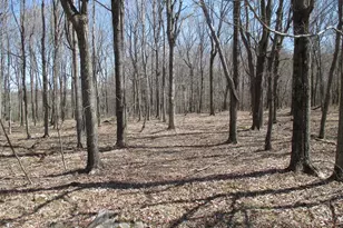 Mt Lakeside Sub Divide Meadows, Mount Storm, WV 26739 - Photo 1