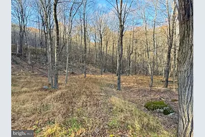 Lot 38 Monongahela Lane, Maysville, WV 26833 - Photo 1