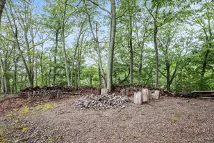 564 Highland Springs Rd, Moorefield, WV 26836 - Photo 14