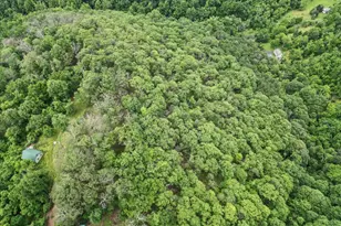 564 Highland Springs Rd, Moorefield, WV 26836 - Photo 30