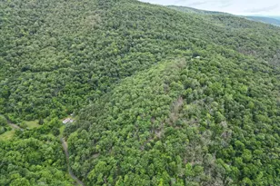 564 Highland Springs Rd, Moorefield, WV 26836 - Photo 32