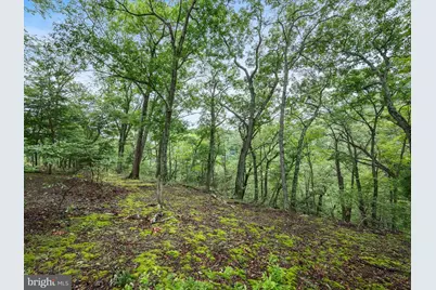 564 Highland Springs Road, Moorefield, WV 26836 - Photo 12