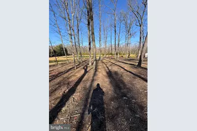 362 Oak Hill Road, Moorefield, WV 26836 - Photo 102