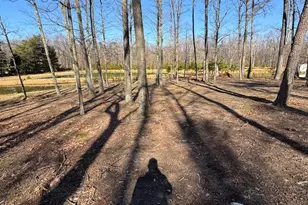 362 Oak Hill Rd, Moorefield, WV 26836 - Photo 102