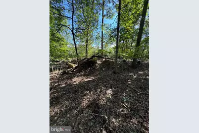 362 Oak Hill Road, Moorefield, WV 26836 - Photo 48