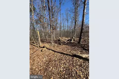 362 Oak Hill Road, Moorefield, WV 26836 - Photo 128