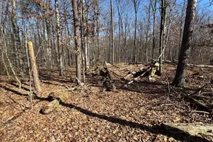 362 Oak Hill Rd, Moorefield, WV 26836 - Photo 128