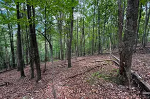 Lot 18B Wits End, Mathias, WV 26812 - Photo 1