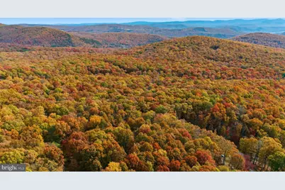 Lot 46 and 48 White Oak Pass, Mathias, WV 26812 - Photo 1