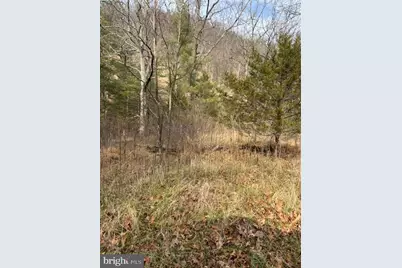Lot 14 Wildlife Drive, Lost City, WV 26810 - Photo 1