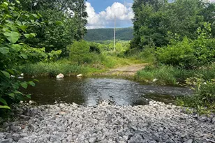 12125 State Road 259, Mathias, WV 26812 - Photo 1