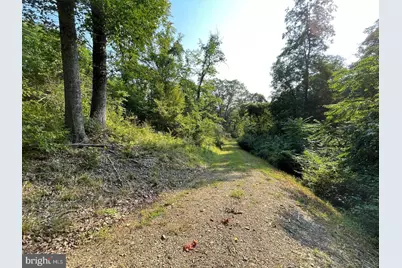 Tupelo Loop, Springfield, WV 26763 - Photo 1