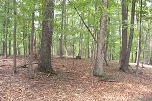 Lot #3 Carson Dr, Capon Bridge, WV 26711 - Photo 1