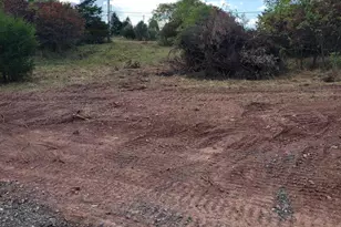 7 00 Ac Rowzee Rd, Levels, WV 25431 - Photo 1