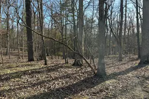 Misty Meadows Ln, Augusta, WV 26704 - Photo 1
