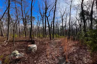 Lot Short Pine Ct, Yellow Spring, WV 26865 - Photo 1