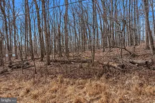 Lot 6 Pauls Woods Rd, Delray, WV 26714 - Photo 1