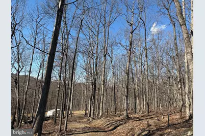 Goldsborough Road, Springfield, WV 26763 - Photo 1