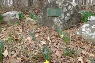 Lot 13 Fawn Dr, Springfield, WV 26763 - Photo 1