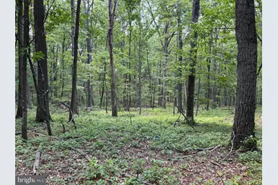Lot 11 Rock Creek Trail, Augusta, WV 26704 - Photo 1