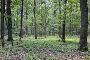 Lot 11 Rock Creek Trail, Augusta, WV 26704 - Photo 1