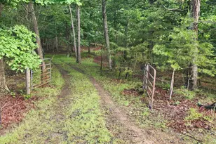 Lot 37 Bobcat Hollow, Romney, WV 26757 - Photo 1