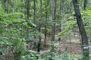 8 34 Acres On Arnold Stickley Rd, Green Spring, WV 26722 - Photo 1