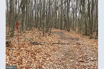 Oakmont Road, Elk Garden, WV 26717 - Photo 1