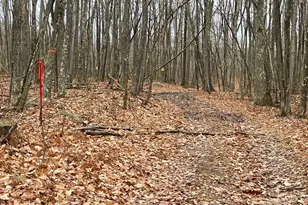 Oakmont Rd, Elk Garden, WV 26717 - Photo 1