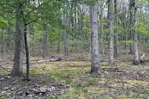 0 Cut Off Rd, Keyser, WV 26726 - Photo 1